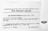 Puccinia carthami image